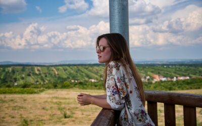 3 rozhledny na Jižní Moravě, které stojí za to navštívit