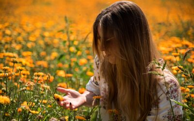 Photo shooting: Energie léta